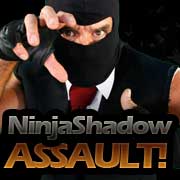 Ninja Shadow Screenshot